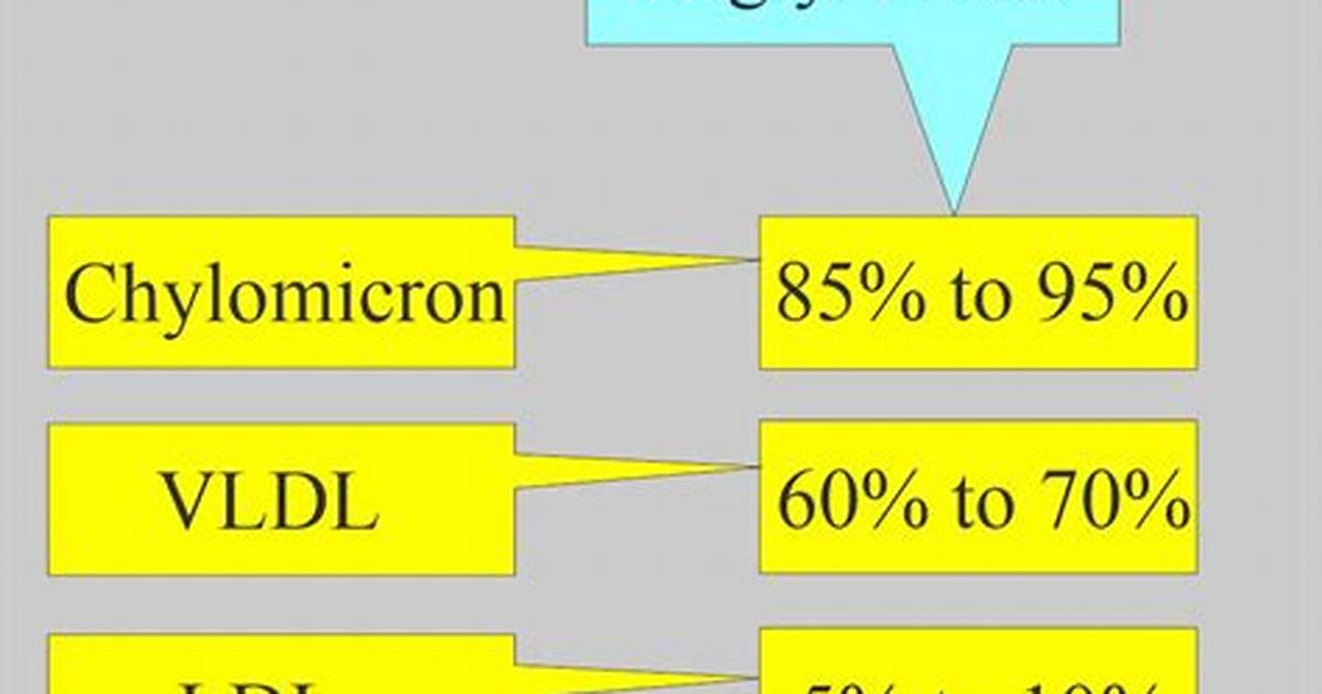 Where Are Triglycerides Found?
