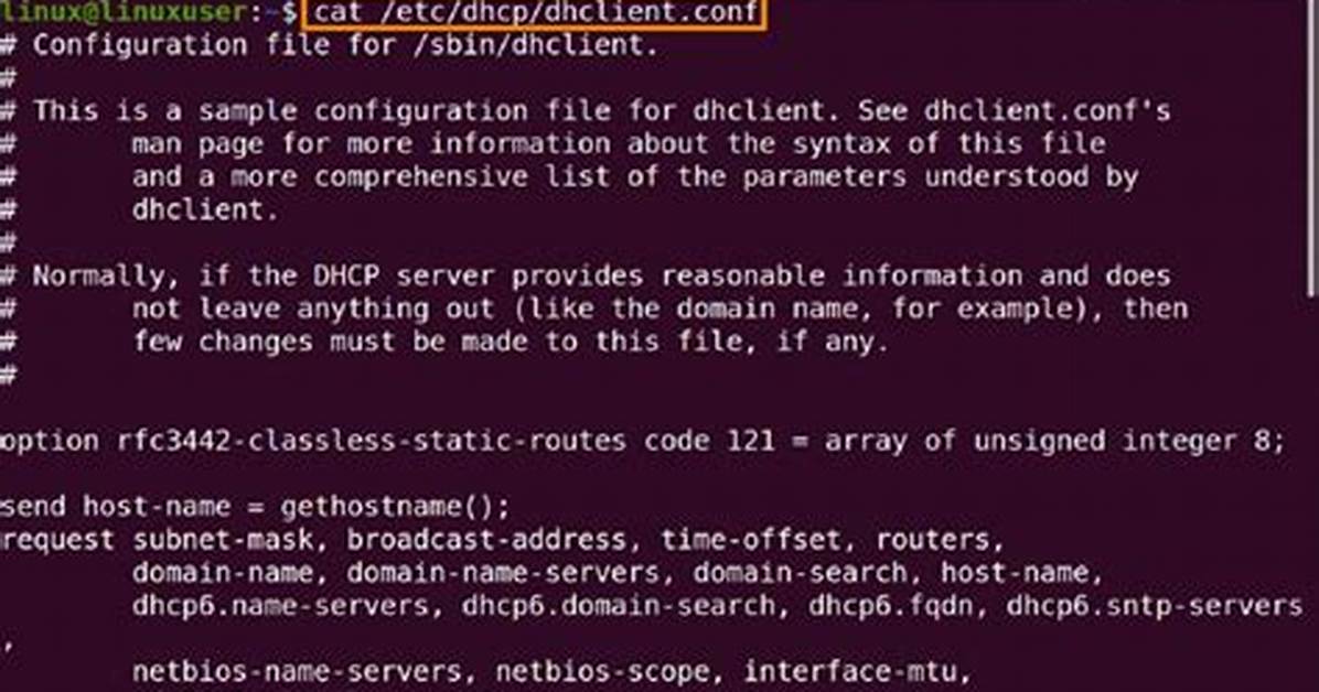 Where Are Usernames Stored in Linux?