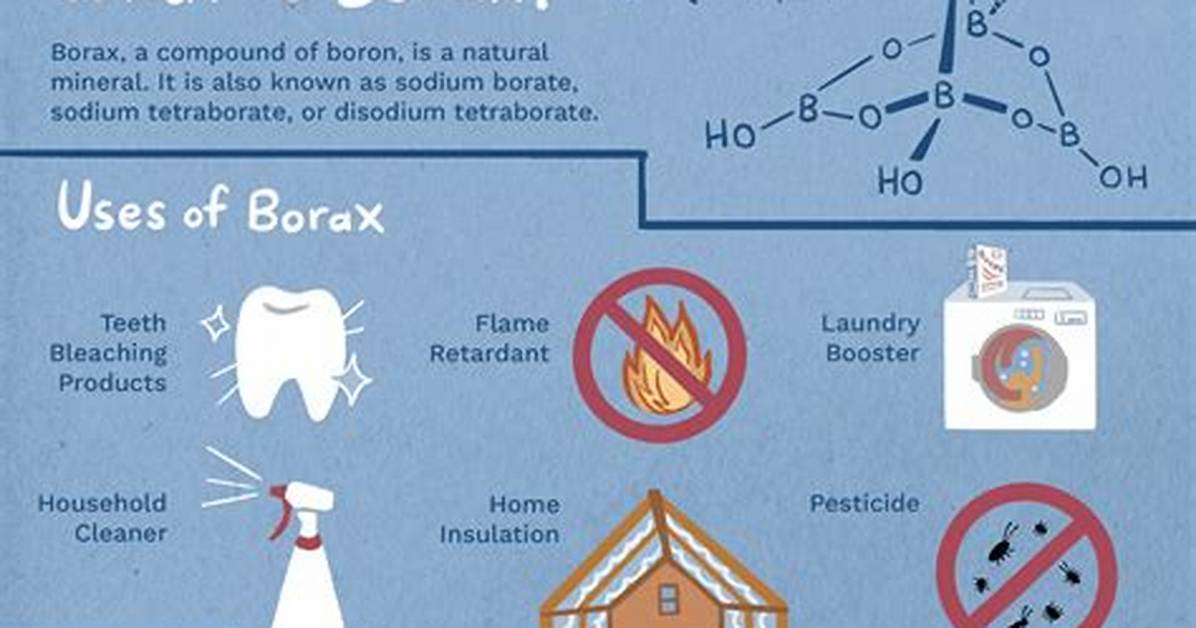 Where Borax Is Used?