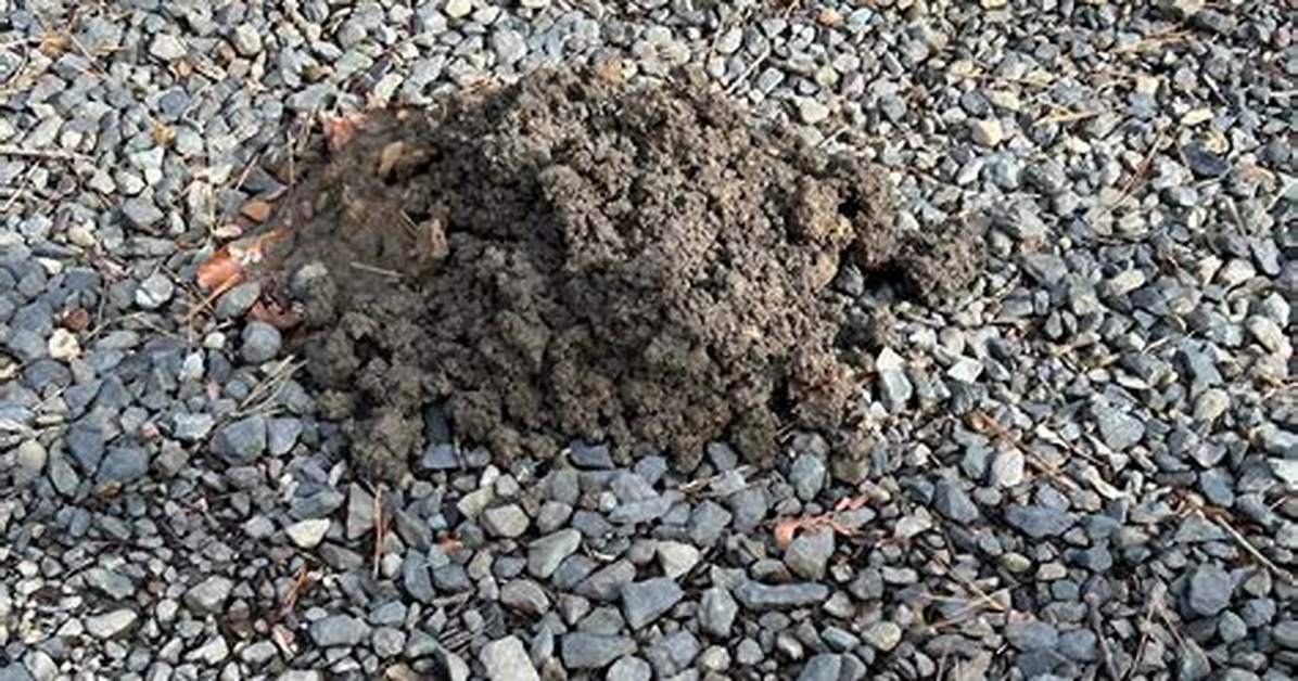 Where Can Dirt Be Found