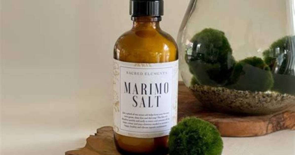 Where Can I Find Marimo