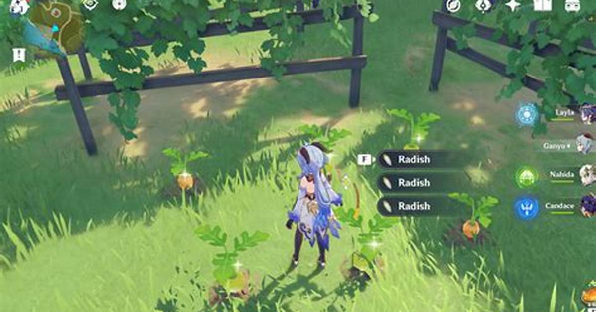 Where Can I Find Radishes in Genshin Impact