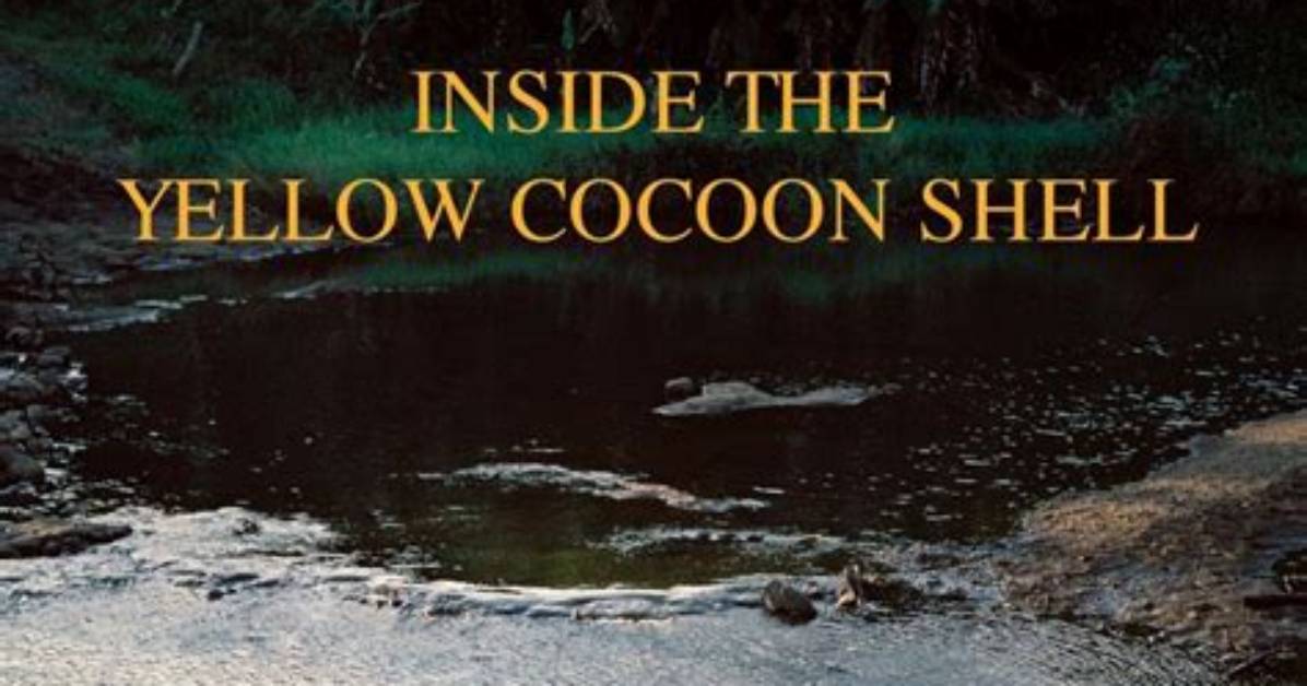 Where Can I Stream Cocoon?