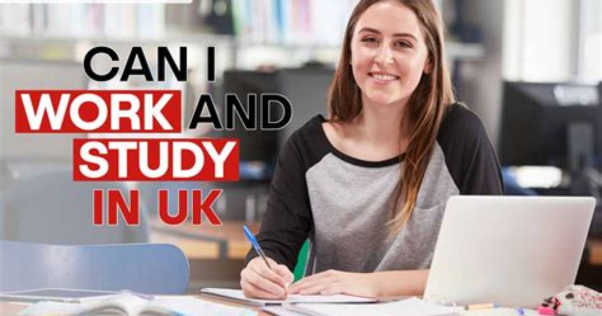 Where Can I Work If I Study Public Administration?