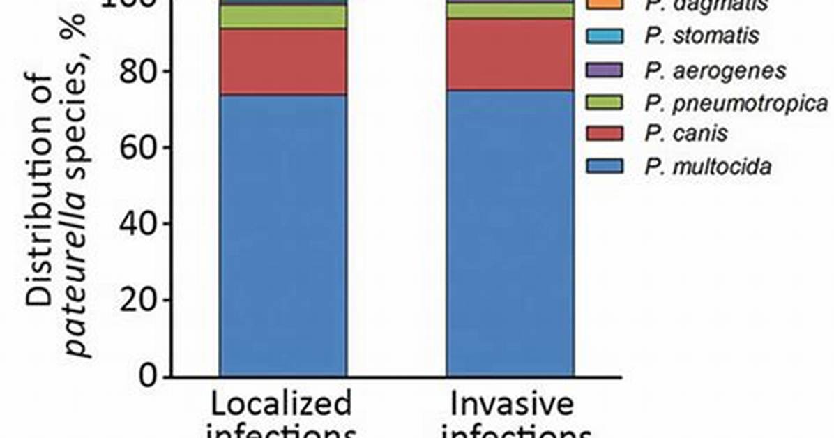 Where Can Pasteurellosis Be Found?