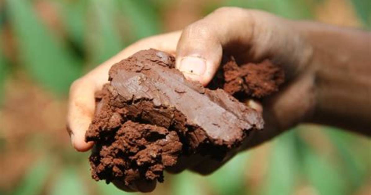 Where Clay Soil Is Found?