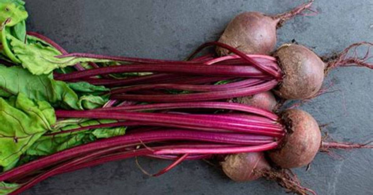 Where Did Beets Come from?