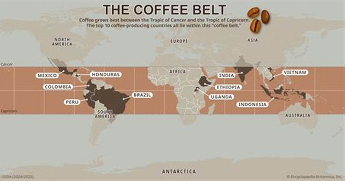 Where Did Coffee Come from?
