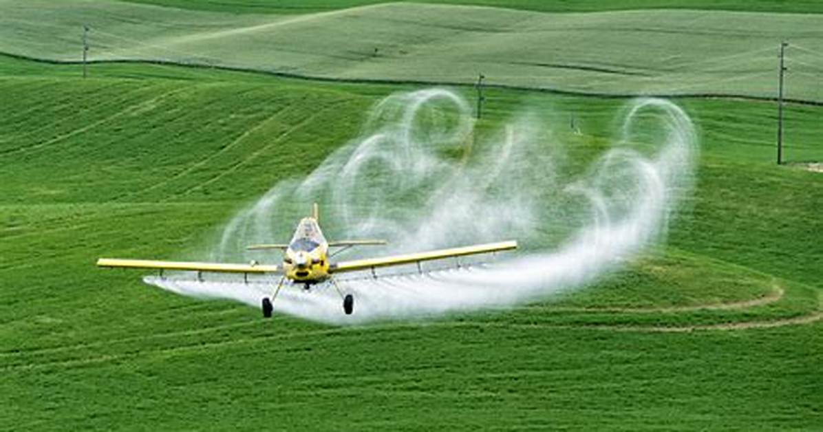 Where Did Crop Dusting Come from?