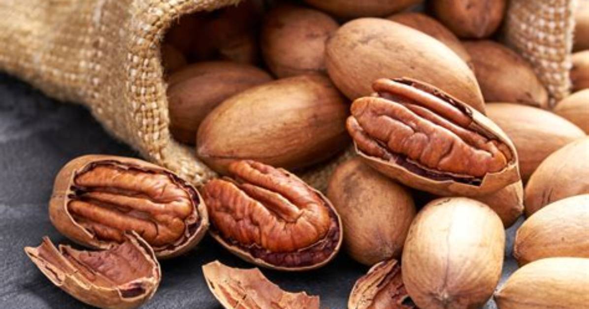 Where Did Pecans Originate