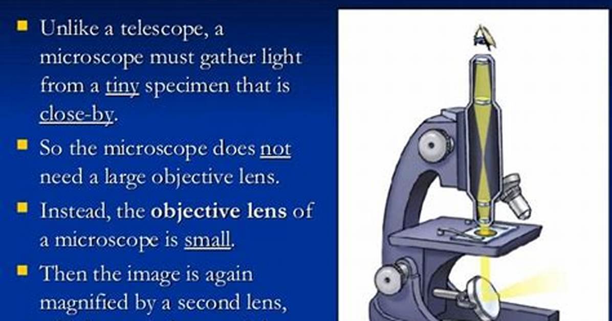 Where Did the Name Microscope Come from?