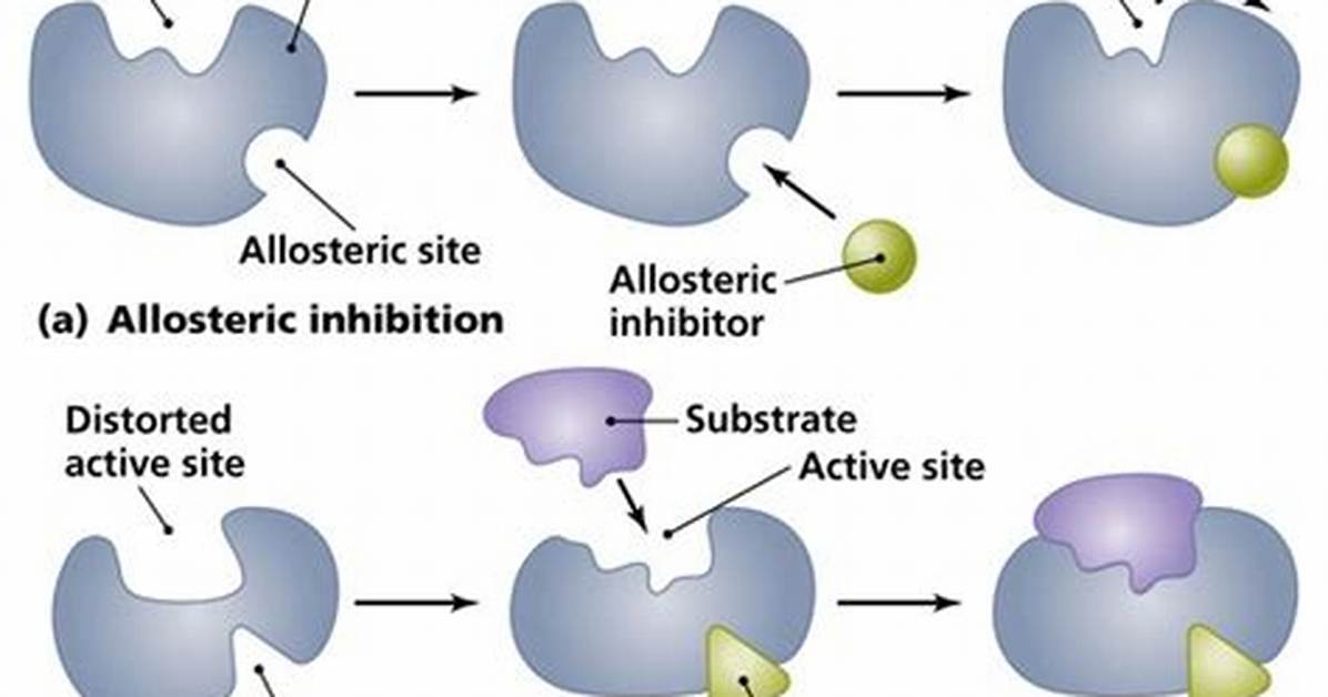 Where Do Allosteric Inhibitors Bind?