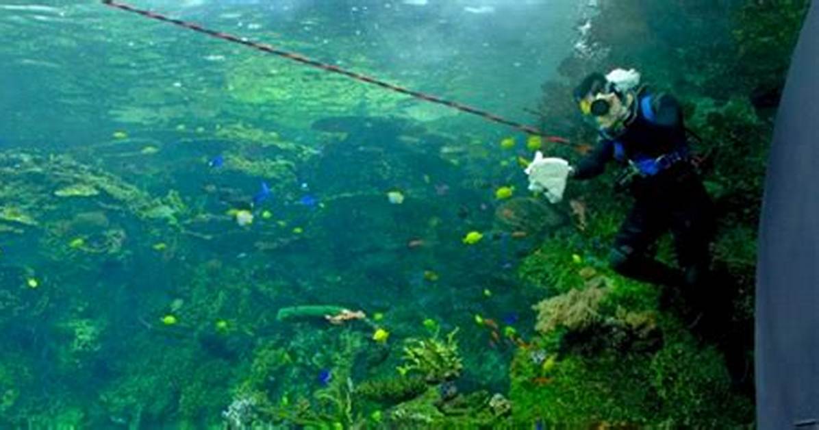 Where Do Aquarists Live?