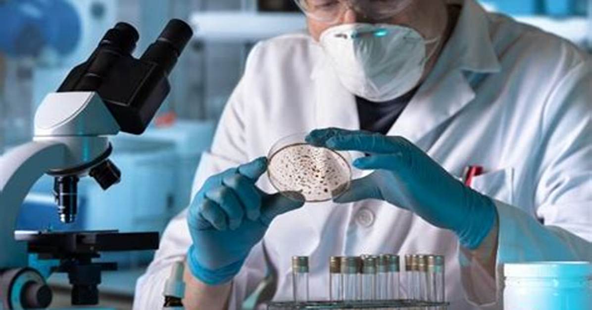 Where Do Bacteriologists Work?