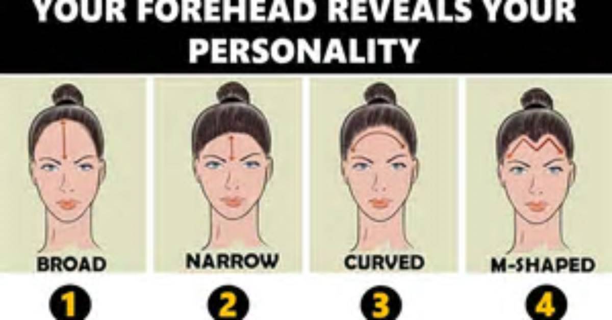 Where Do Big Foreheads Come from?