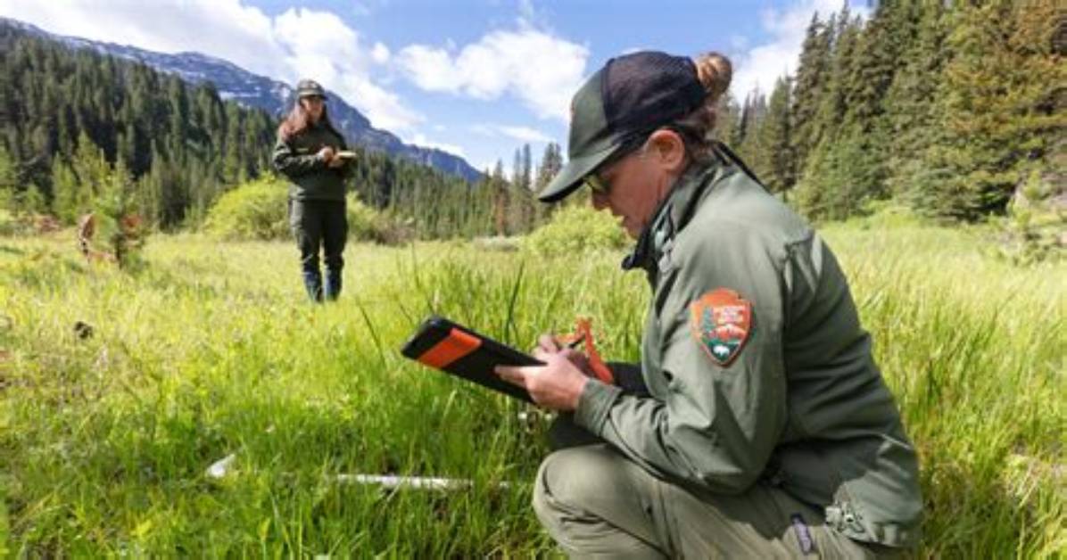 Where Do Conservationists Work?