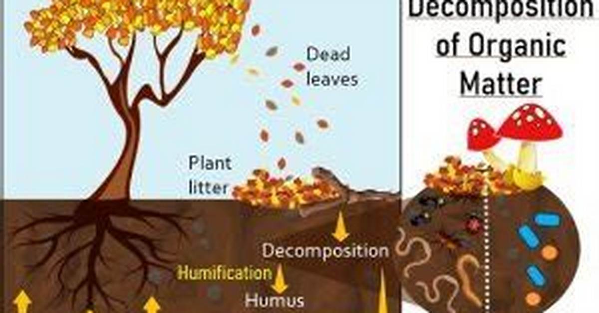 Where Do Decaying Materials Come from?