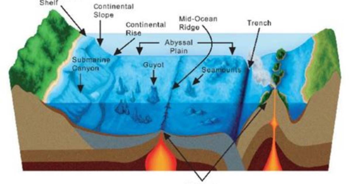 Where Do Deep Ocean Trenches Form?