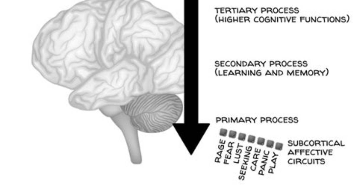 Where Do Emotions Come from?