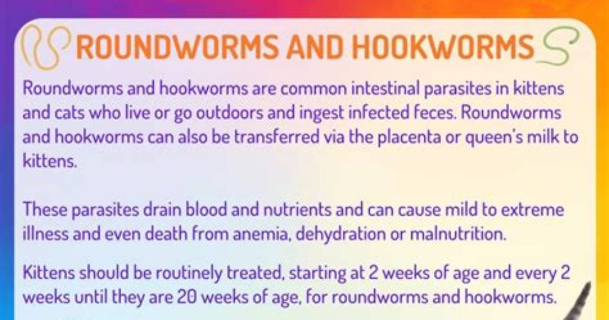 Where Do Endoparasites Live?