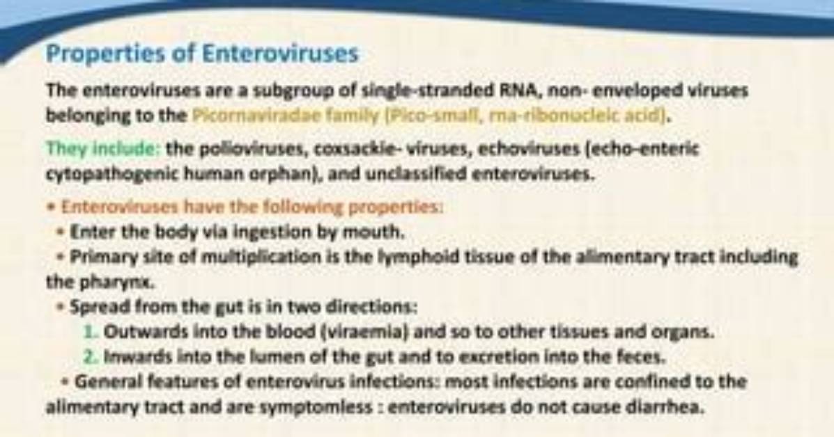 Where Do Enteroviruses Come from?
