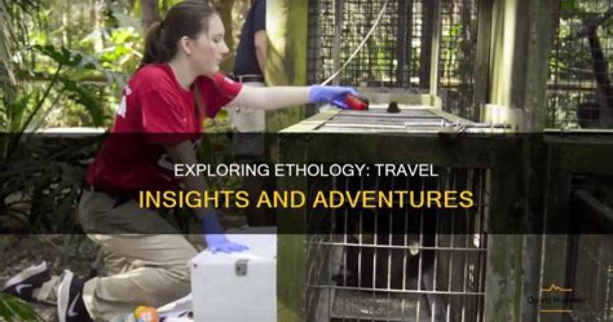 Where Do Ethologists Work?