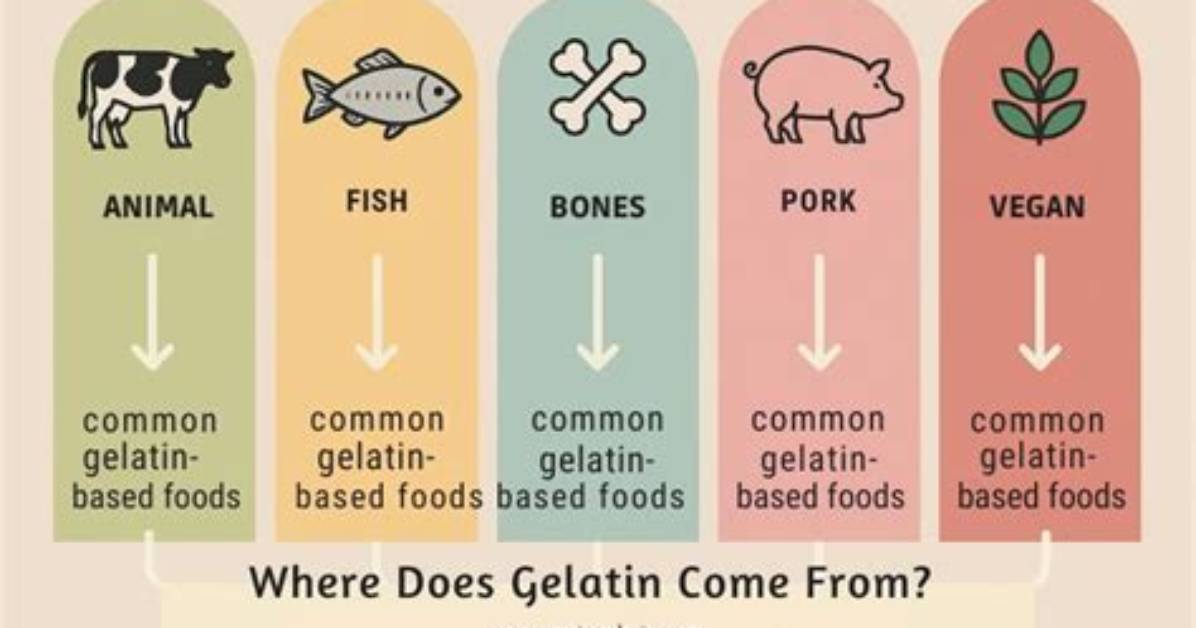 Where Do Gelatin Come from?