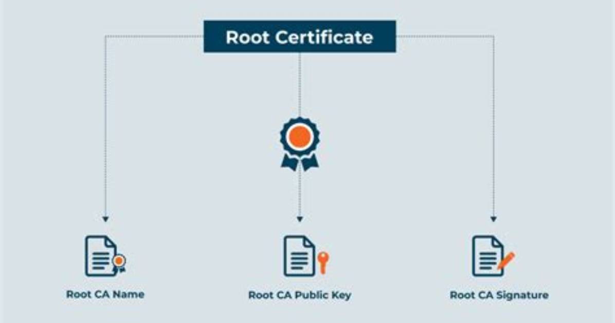 Where Do I Put Root Certificates