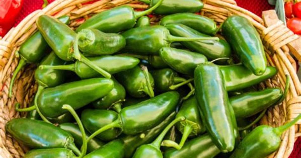Where Do Jalapenos Come from?