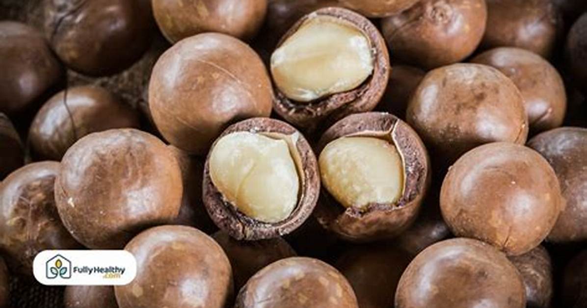 Where Do Macadamia Nuts Come from?