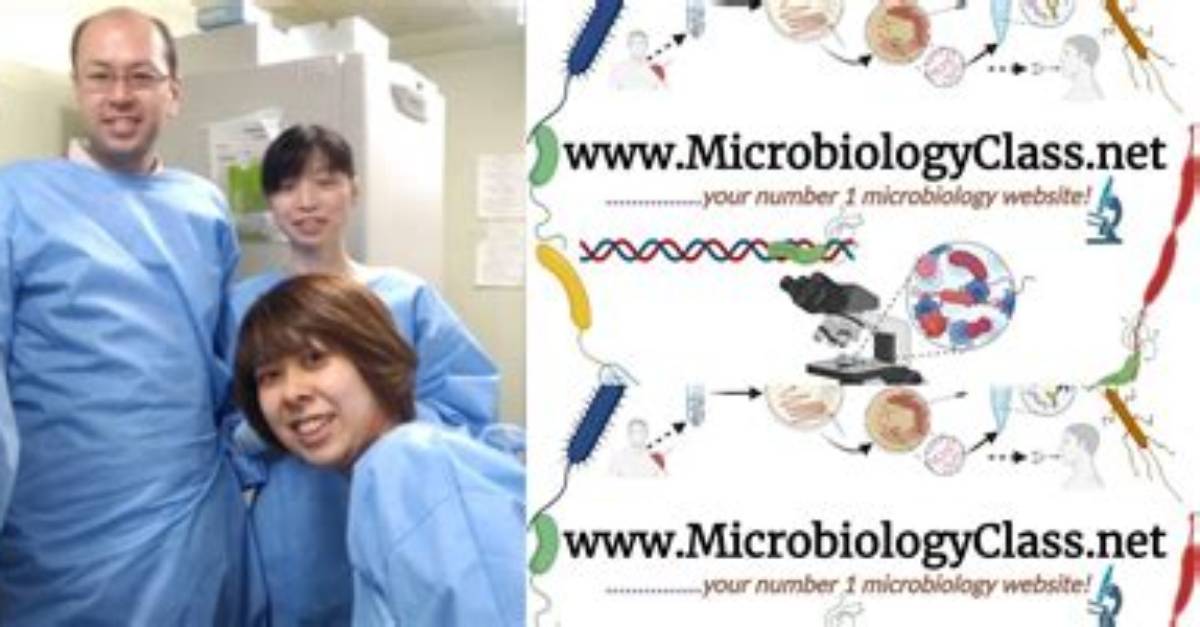 Where Do Microbiologists Typically Work?