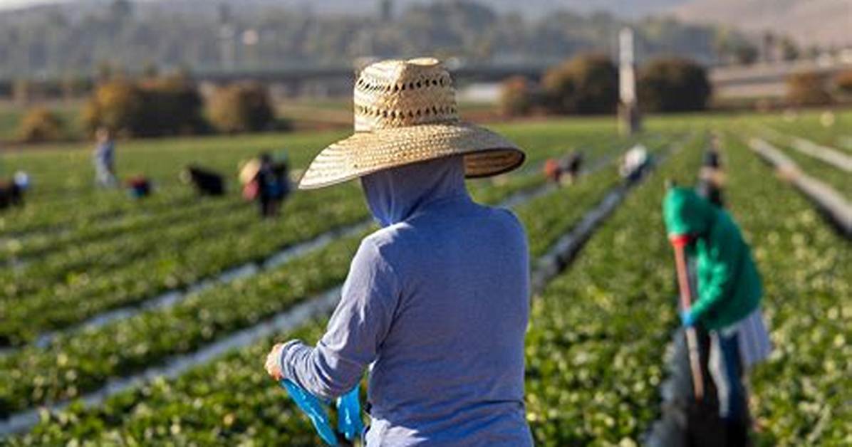 Where Do Migrant Workers Live?