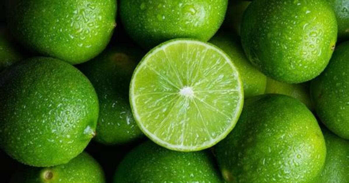 Where Do Most Limes Come From