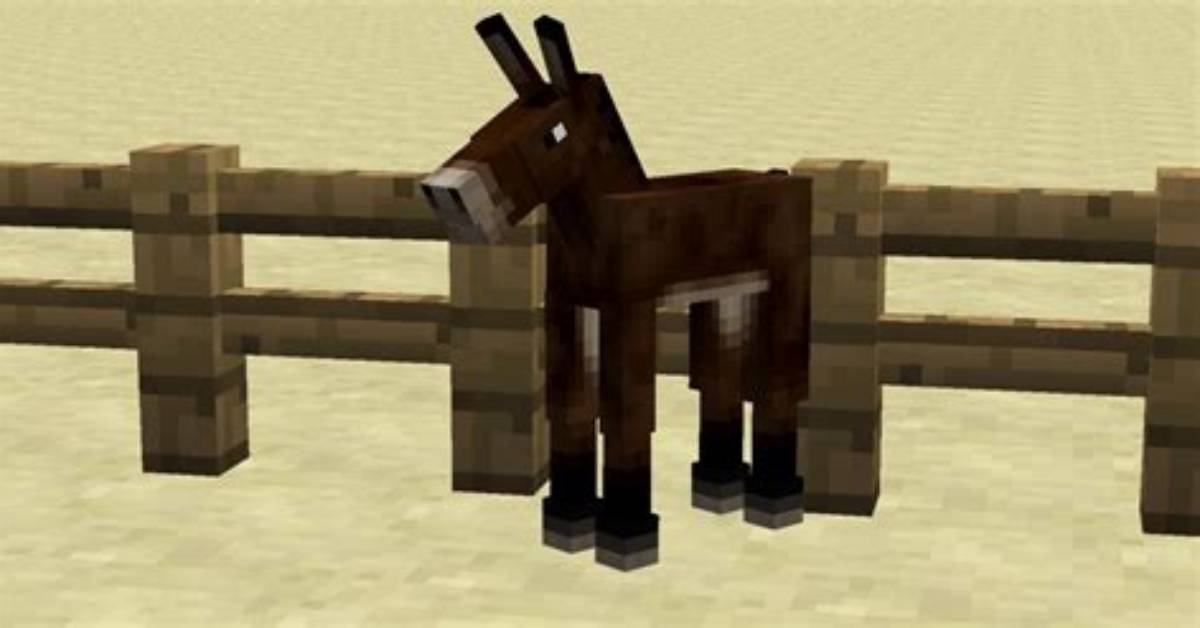 Where Do Mules Spawn in Minecraft?