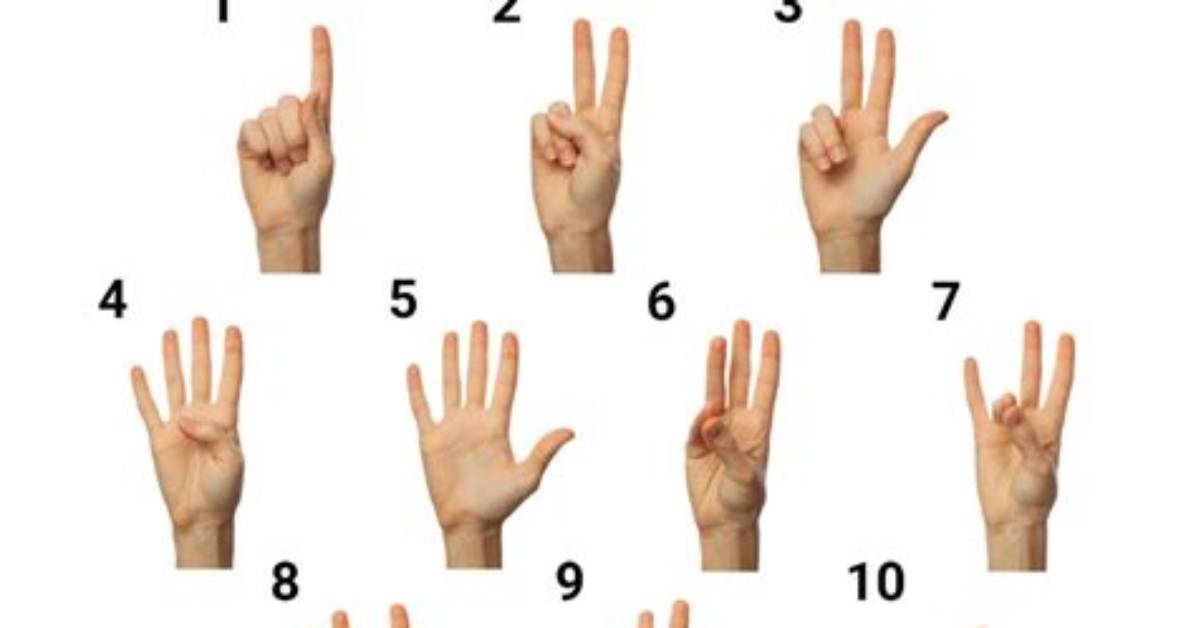 Where Do Numbers Go in Asl