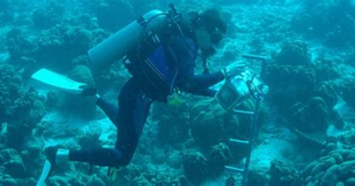 Where Do Oceanographers Work?