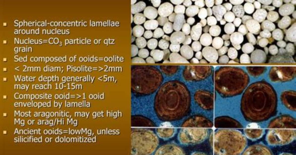 Where Do Ooids Form?