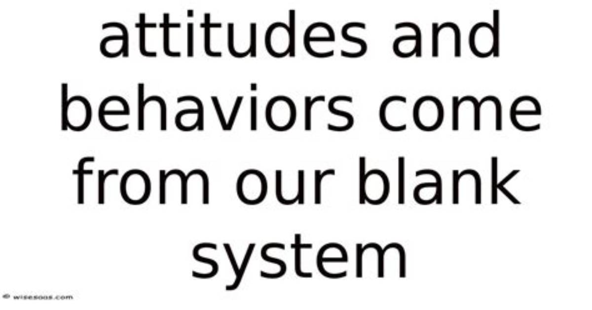 Where Do Our Behaviors Come from?