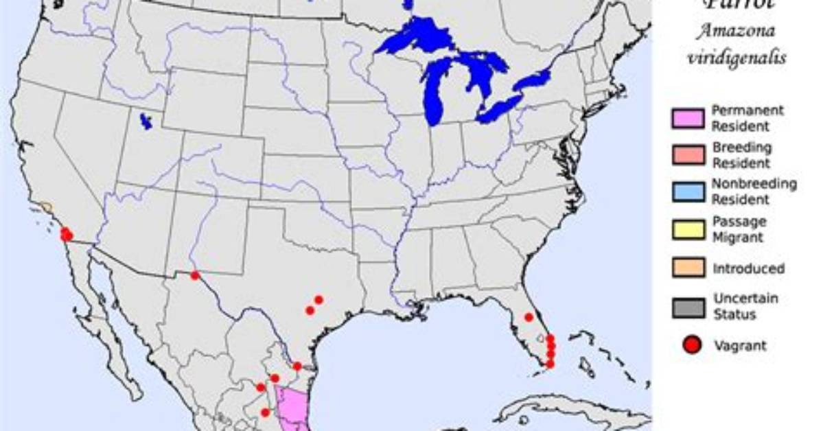 Where Do Parrotbills Live?