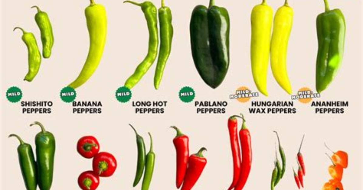 Where Do Peppers Come From
