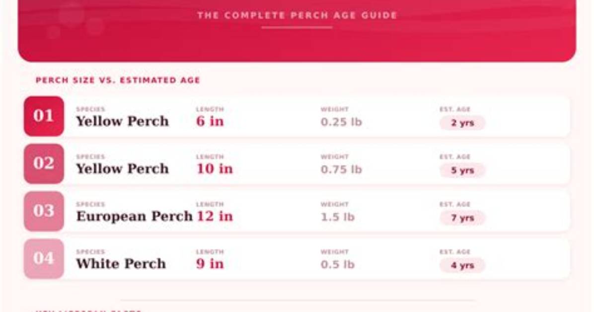 Where Do Perch Live?