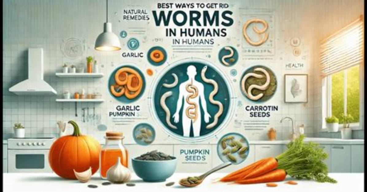 Where Do Pickleworms Come from?