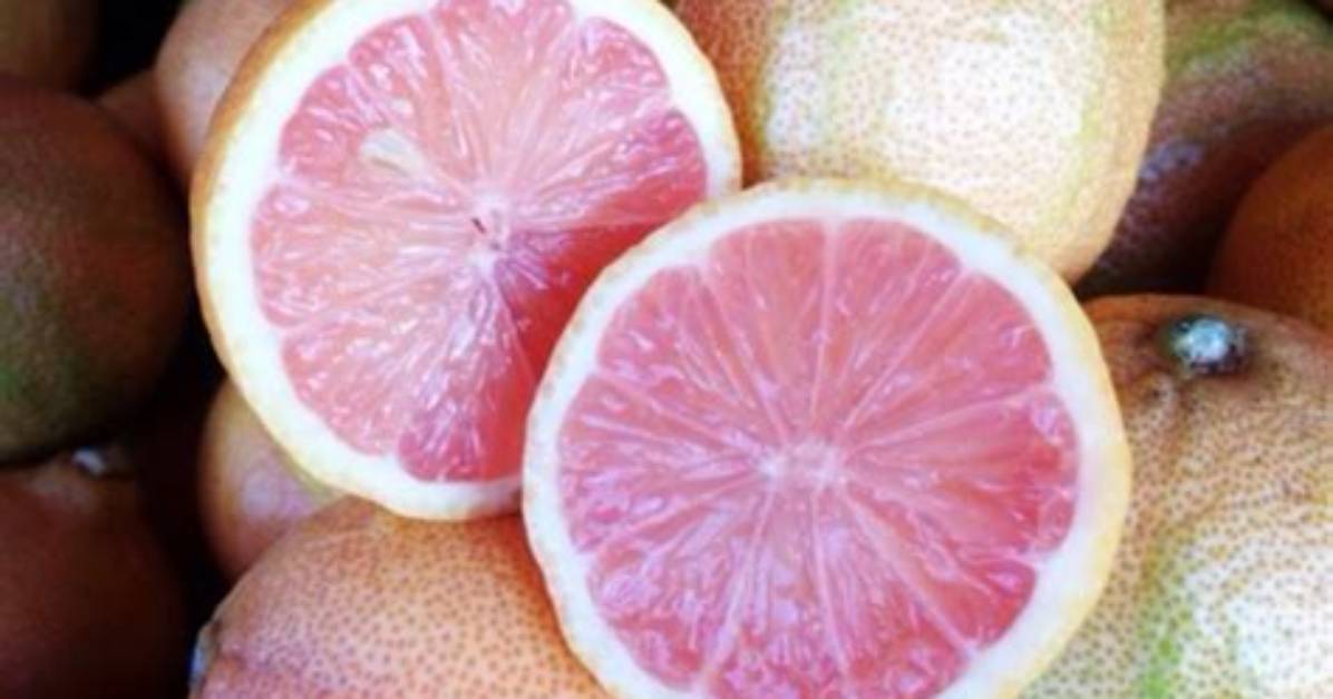 Where Do Pink Lemons Come From