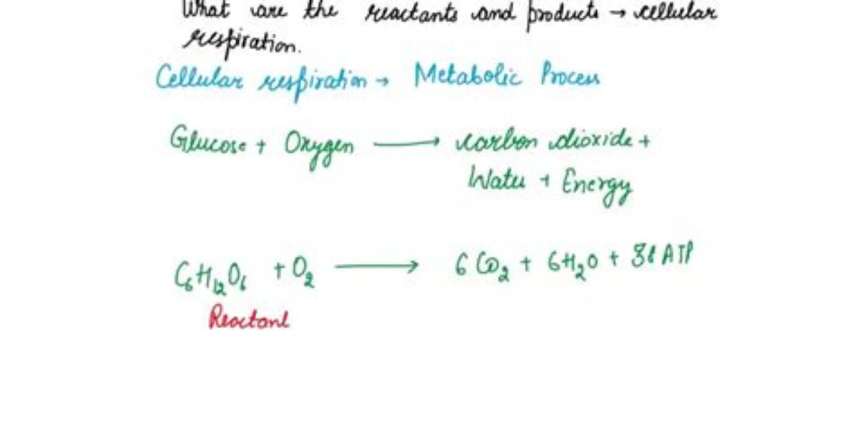 Where Do Reactants Come from in Cellular Respiration?