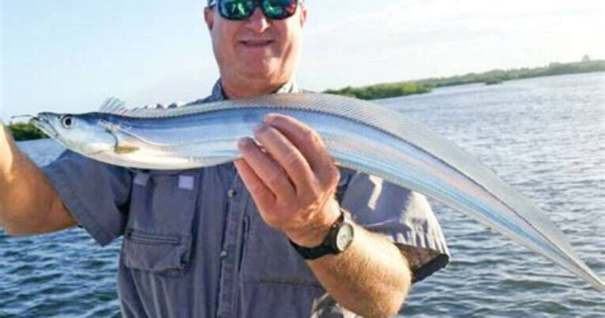 Where Do Ribbon Fish Live?