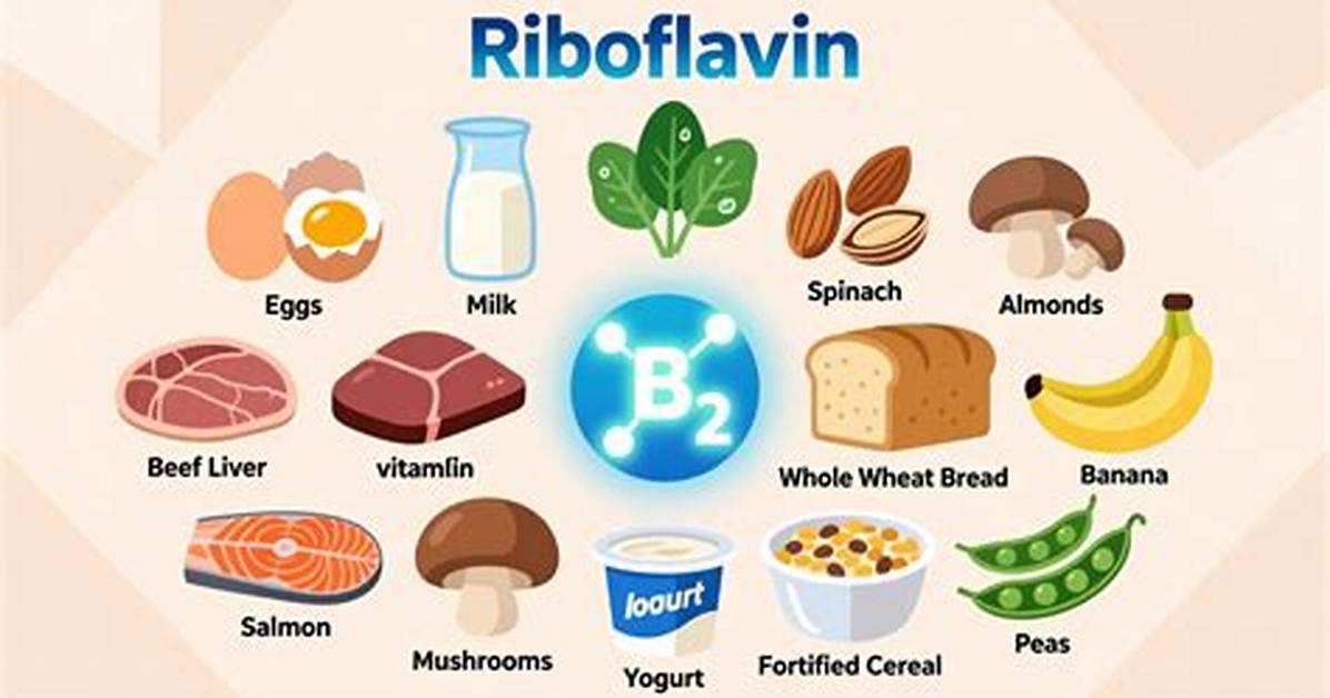Where Do Riboflavin Come from?