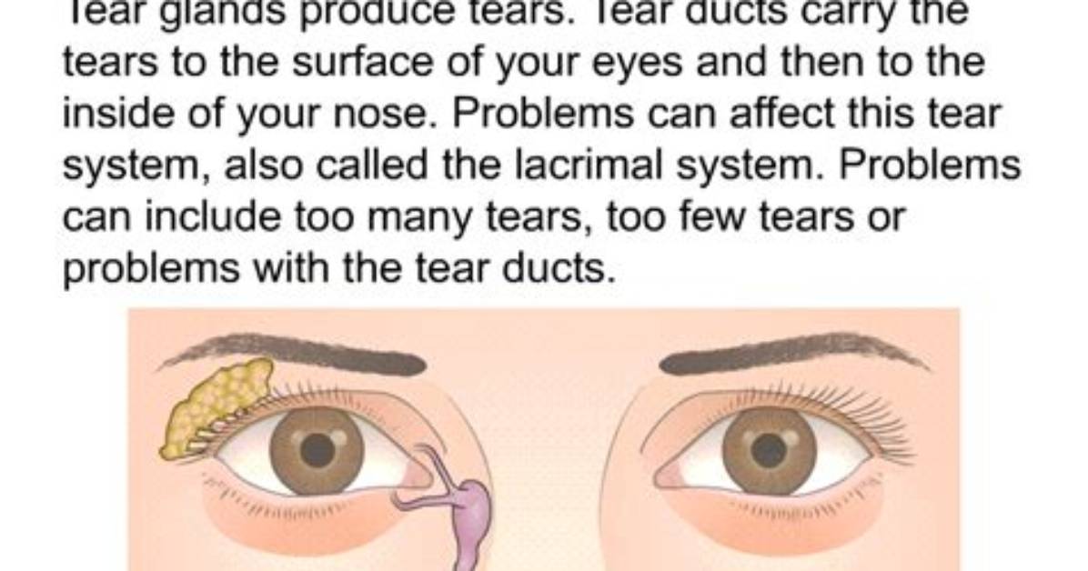Where Do Tears Originate?