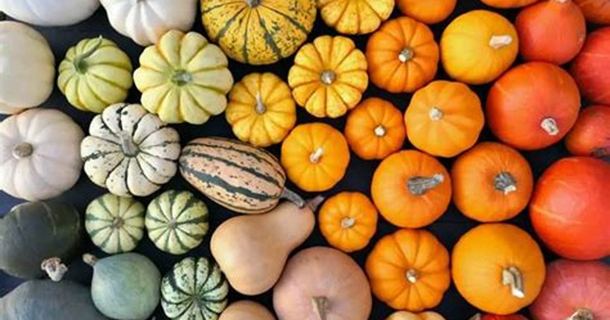 Where Do the Most Pumpkins Come From
