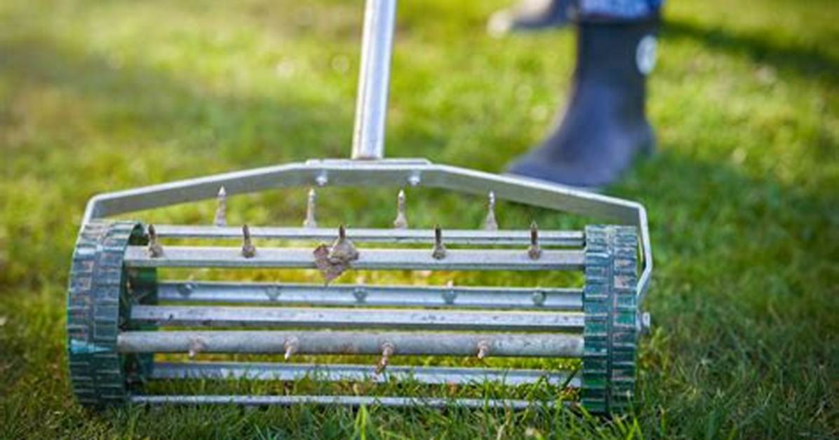 Where Do You Find Aerators