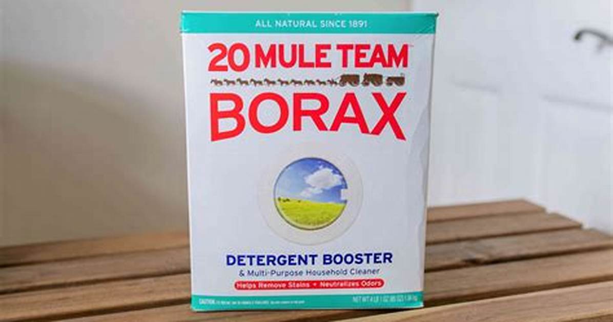 Where Do You Get Borax At